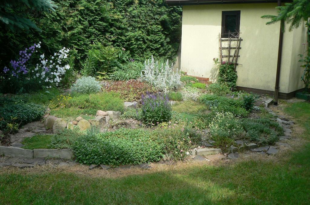 Wama Nowa Wies (Pruszkow) Exterior foto